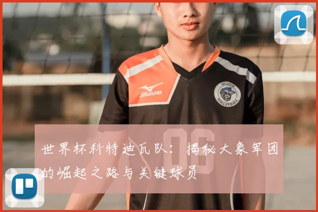 世界杯科特迪瓦队：揭秘大象军团的崛起之路与关键球员